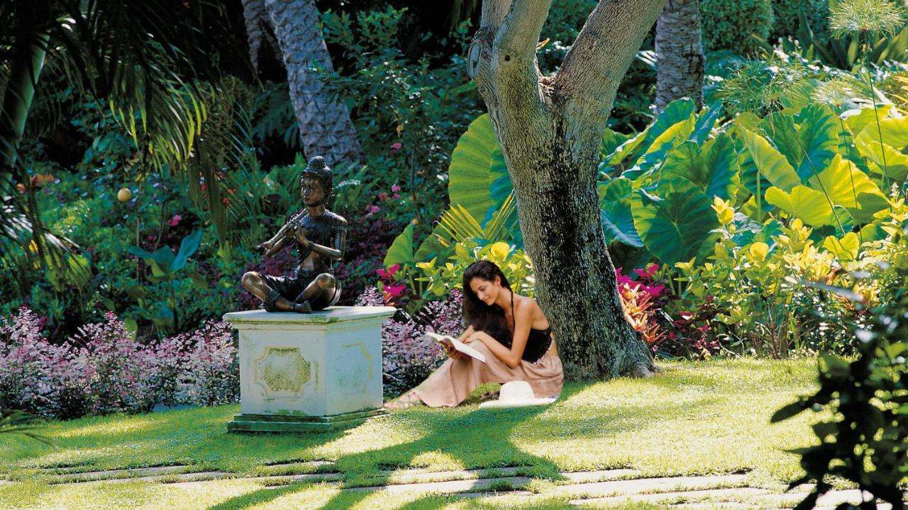 Hotel Botanico Y Oriental Spa Garden Puerto de la Cruz  Luaran gambar A student studying in the gardens